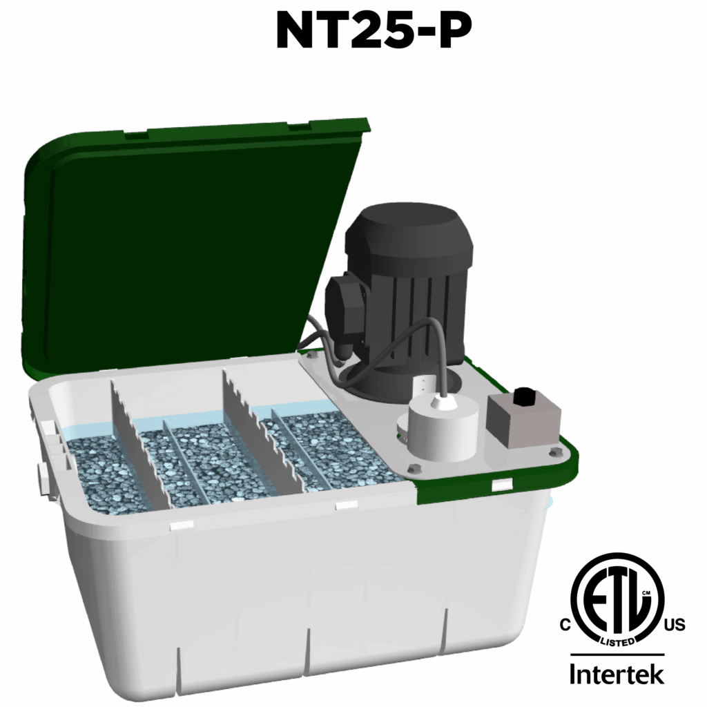 Image of 700-x-700-NT25-P-FRONT-01-01.png