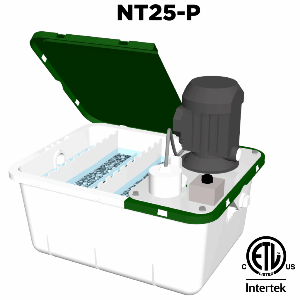 Image of 700-x-700-NT25-P-SIDE-01.png