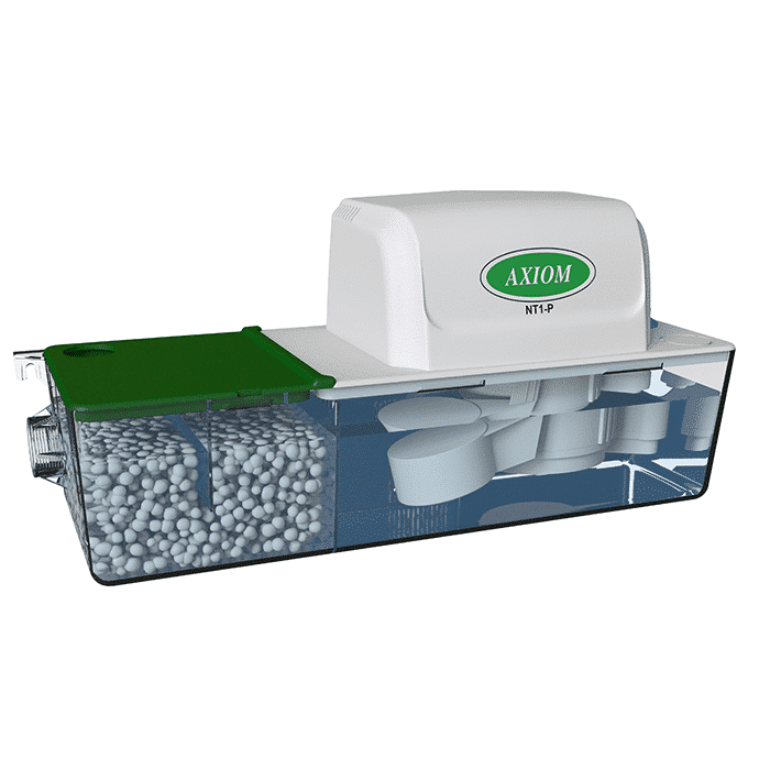 Image of NT1-P-big.png